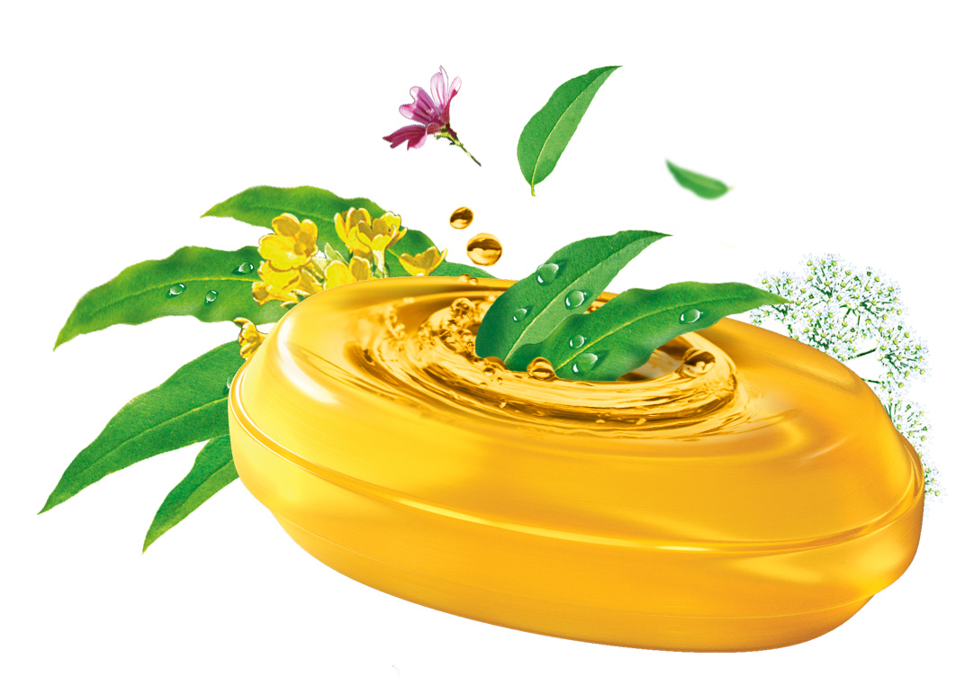 ein gelbes Bonbon mit Kräutern drumherum