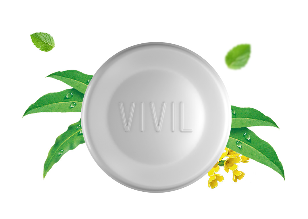 Eukalyptus Pastille mit Composing von Blättern