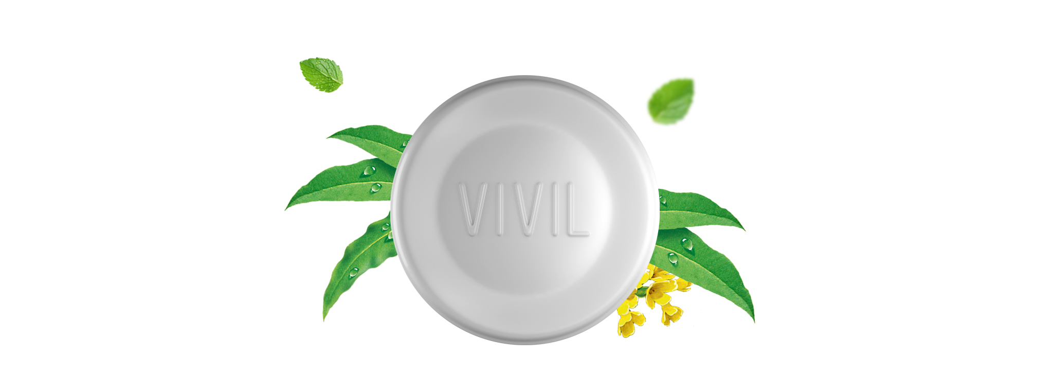 Eukalyptus Pastille mit Composing von Blättern