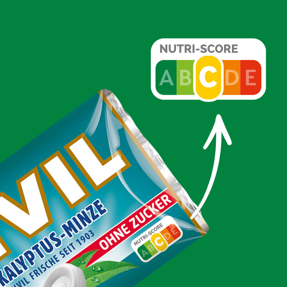 VIVIL Eukalyptus-Minze Pastille ohne Zucker | 20 x 3er Pack